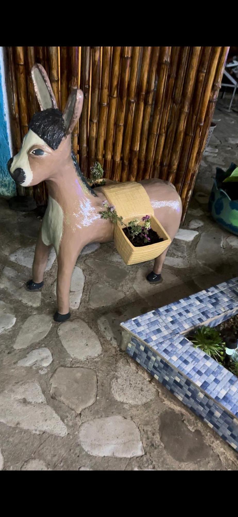 Guest House Iura Sighnaghi Εξωτερικό φωτογραφία